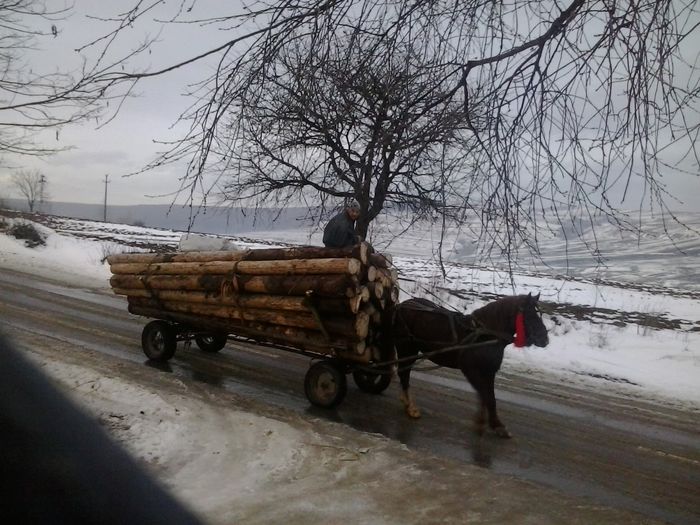 ce spuneti de incarcatura asta? - Armasarul  nostru - Roibul