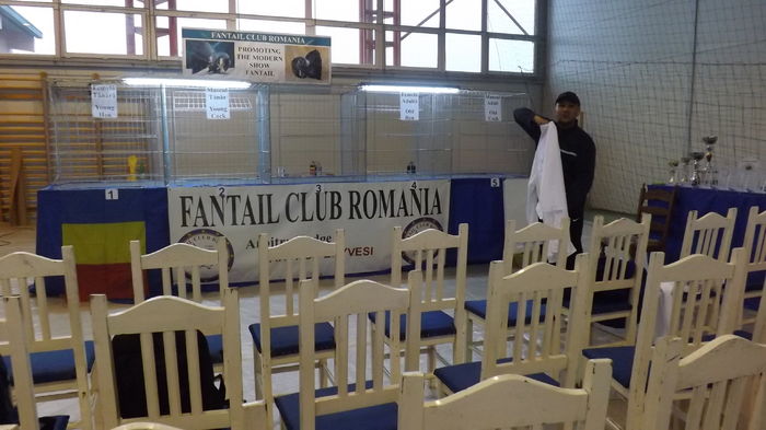 DSCF3641 - Fantail Club Romania 2015