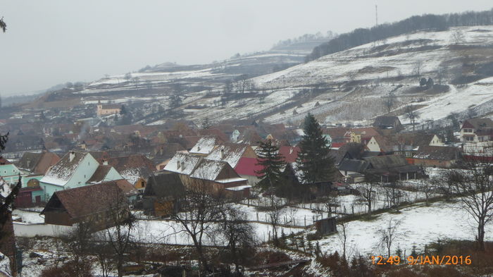 P1030074 - Prietenii legendele si cetatile medievale