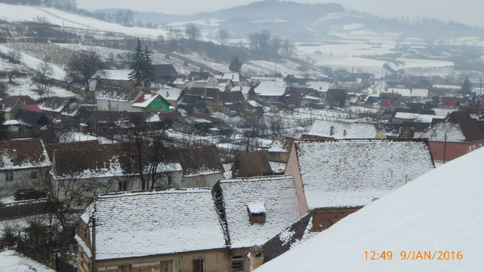 P1030076 - Prietenii legendele si cetatile medievale