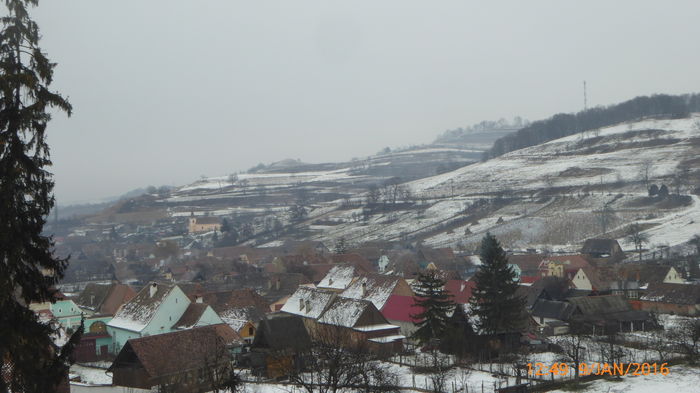 P1030078 - Prietenii legendele si cetatile medievale