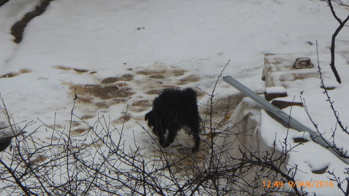 P1030079 - Prietenii legendele si cetatile medievale