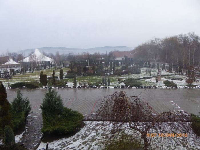 P1030125 - Prietenii legendele si cetatile medievale