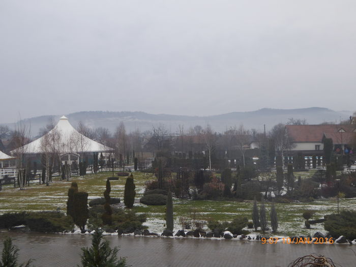 P1030127 - Prietenii legendele si cetatile medievale