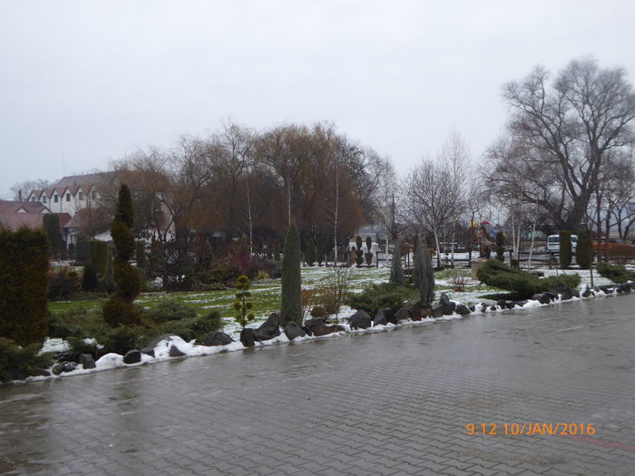 P1030142 - Prietenii legendele si cetatile medievale