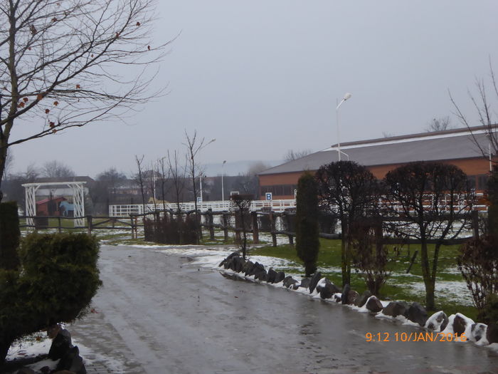 P1030145 - Prietenii legendele si cetatile medievale