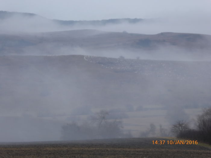 P1030362 - Prietenii legendele si cetatile medievale