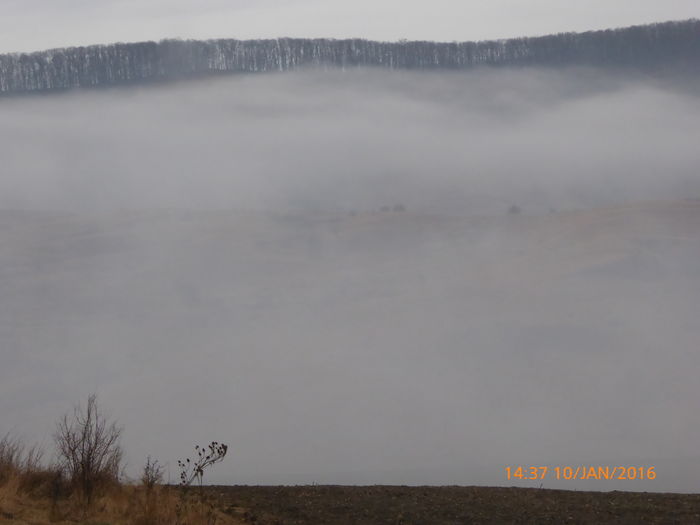 P1030363 - Prietenii legendele si cetatile medievale