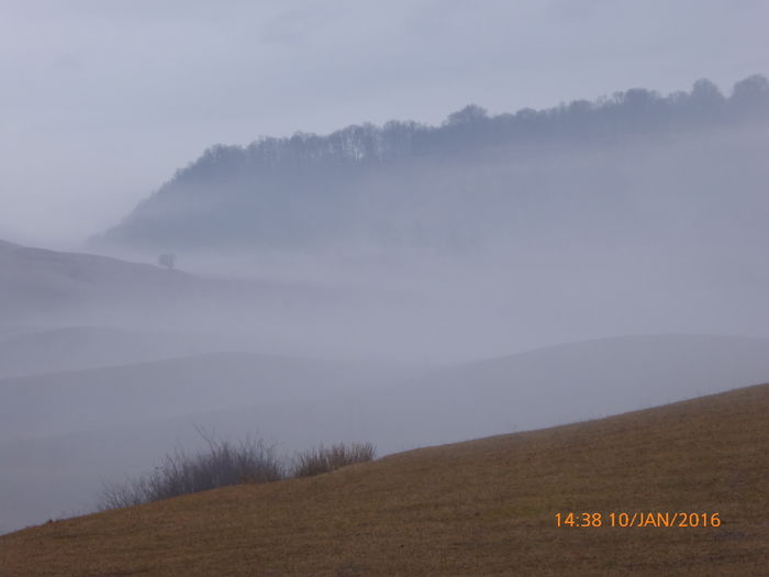 P1030369 - Prietenii legendele si cetatile medievale