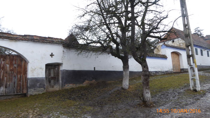 P1030377 - Prietenii legendele si cetatile medievale