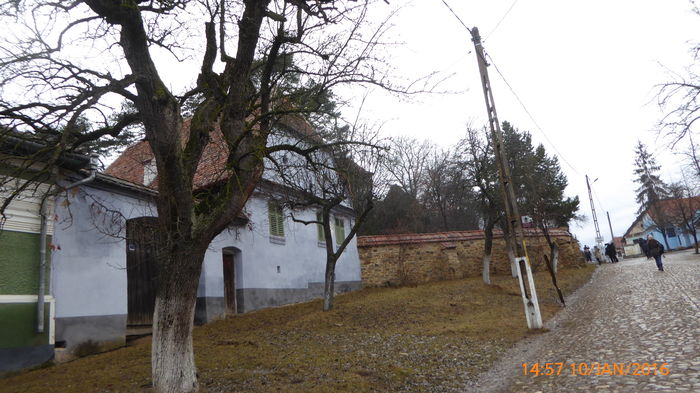 P1030381 - Prietenii legendele si cetatile medievale