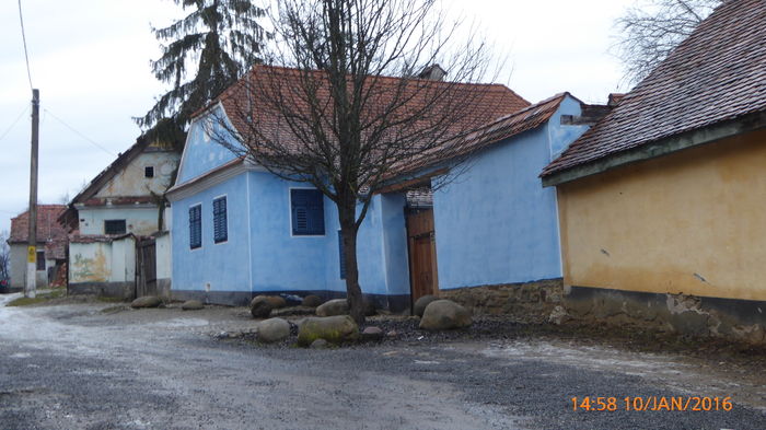 P1030383 - Prietenii legendele si cetatile medievale