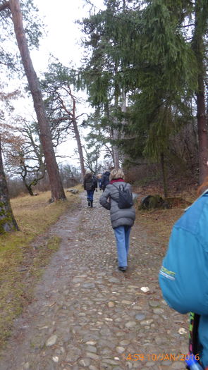 P1030384 - Prietenii legendele si cetatile medievale