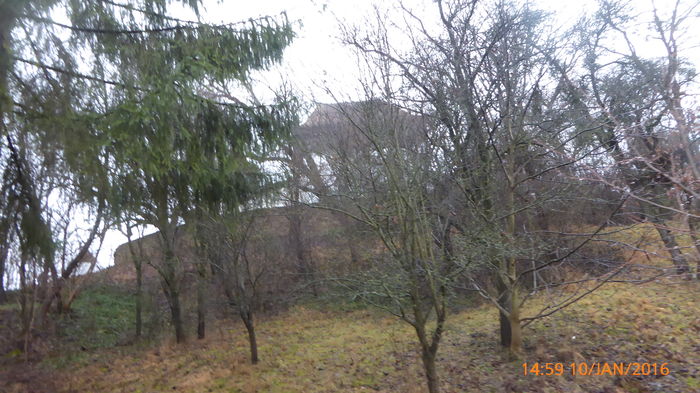 P1030385 - Prietenii legendele si cetatile medievale