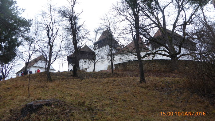 P1030387 - Prietenii legendele si cetatile medievale