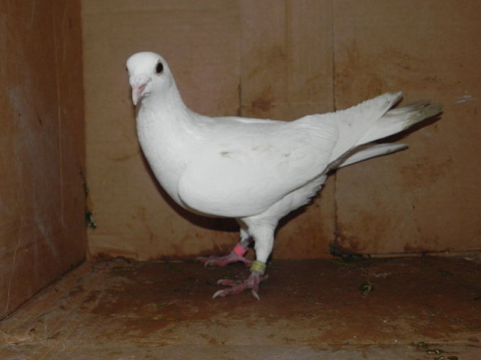 DSCN8105