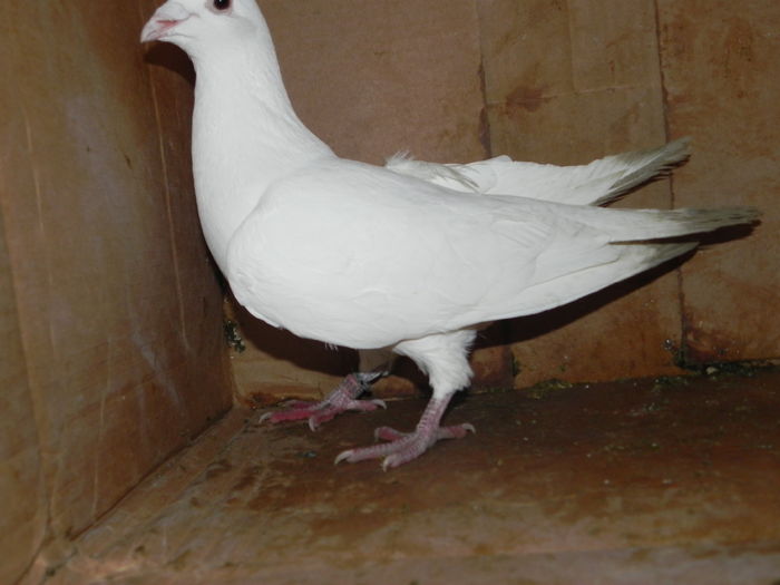 DSCN8110