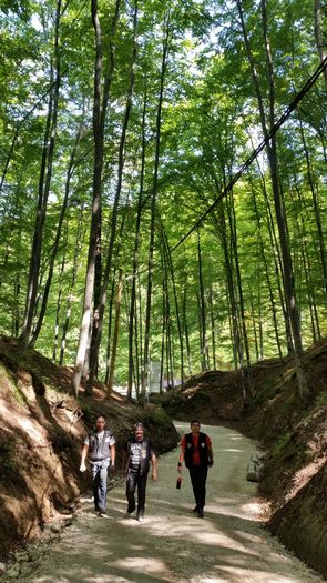 20150905_114057 - Rasnov 2015