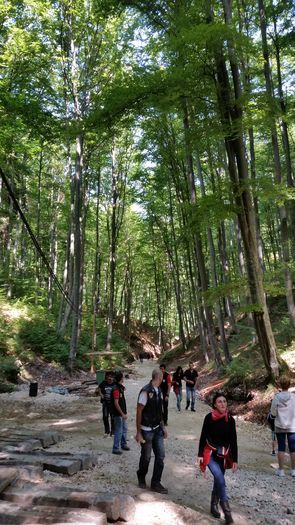 20150905_114338 - Rasnov 2015