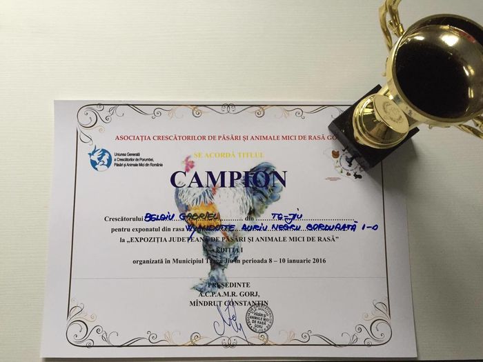 12562349_1574805782794430_1610852713_o