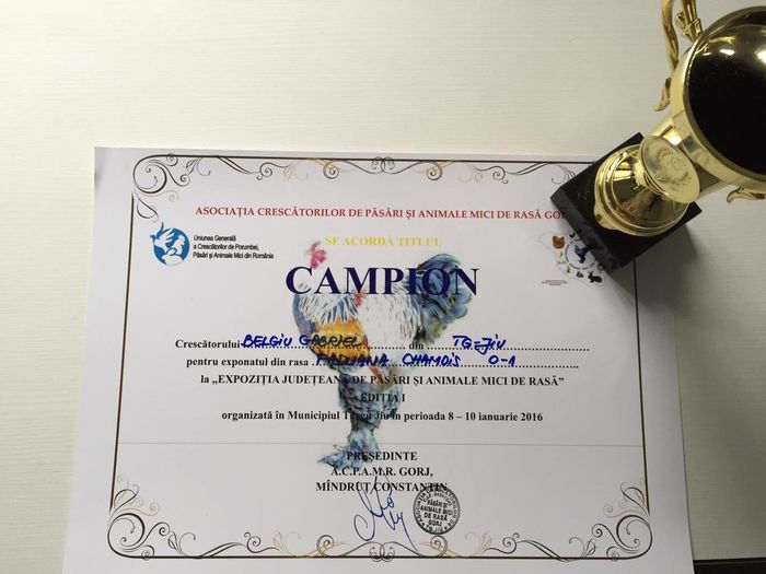 12562678_1574805776127764_1519718326_o