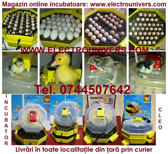 incubatoare oua cleo; incubatoare Cleo www.electrounivers.com
