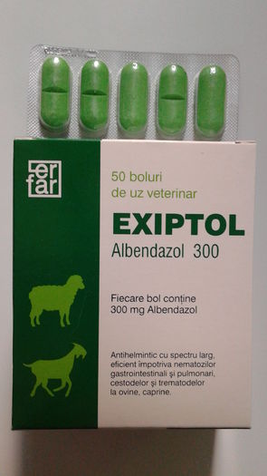 EXIPTOL 300 MG 50 BOLURI - 25 RON - EXIPTOL 300 MG 50 BOLURI - 25 RON