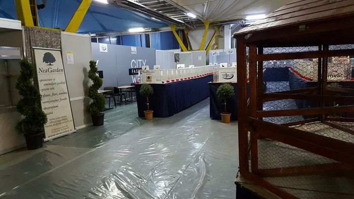 1915804_1691771724423444_8891120943877753257_n - S- Expozitie Cluj 14-17 Ianuarie 2016