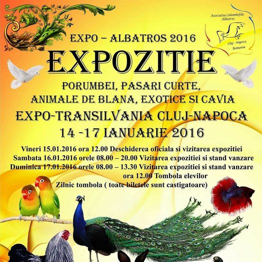 12565393_1691493807784569_5819617160453489179_n - S- Expozitie Cluj 14-17 Ianuarie 2016
