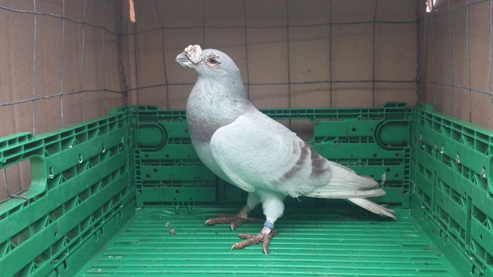 20160111_111925_Richtone(HDR)