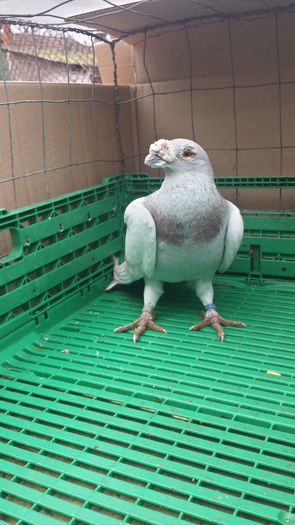 20160111_112409_Richtone(HDR)