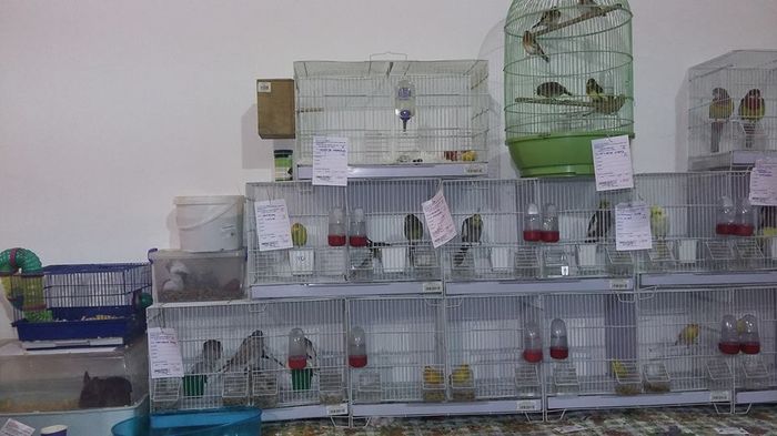 12507097_1098289473549048_852013240078963020_n