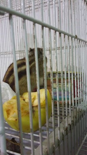 12509199_1098286550216007_6010226320188580452_n