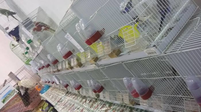 12510220_1098289346882394_751578146434420442_n