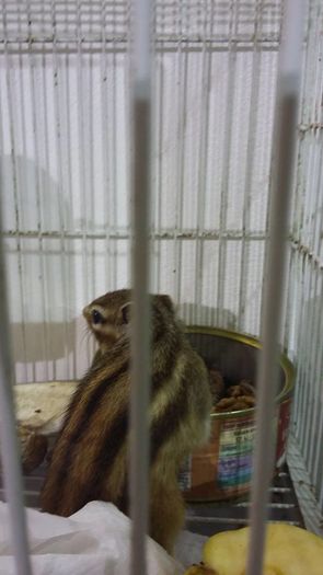 12510323_1098285363549459_4143864336375844330_n