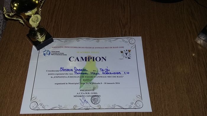 12540971_1098776886833640_8505853243438624843_n