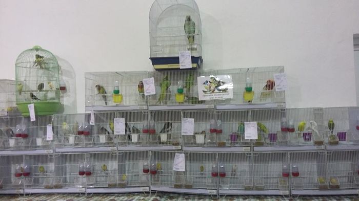 Copy of 12417819_1098286536882675_6061268150316355562_n