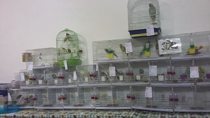 Copy (2) of 1003603_1098286593549336_267409918183713554_n