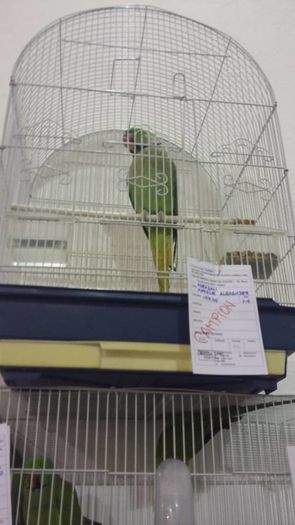 Copy (2) of 10308191_1098289543549041_4009102300012847132_n