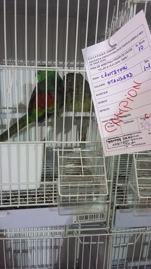 Copy (2) of 12410533_1098286750215987_7202612190405779272_n