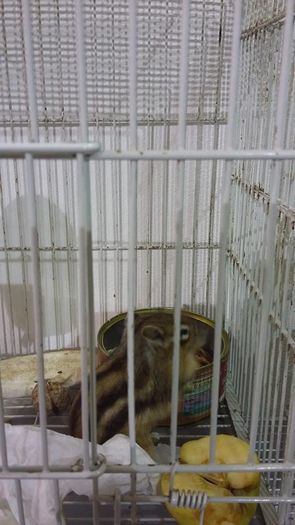 Copy (2) of 12495046_1098286560216006_83168062643279863_n