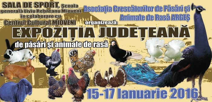 image - Expozitia Judeteana Arges 2016 ianuarie