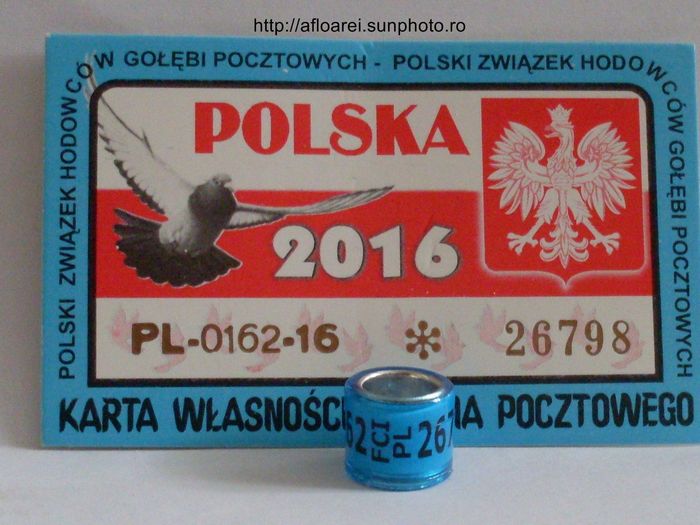 pl 16 - POLONIA -PL