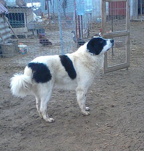 IMG_20160115_150258-1