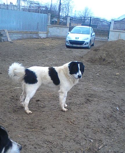 IMG_20160115_145543-1