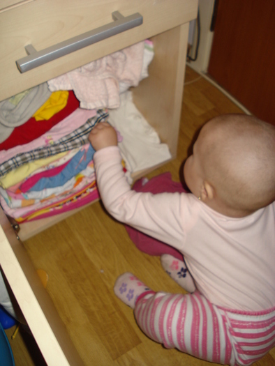 DSC06899- ...fac ordine, bineinteles