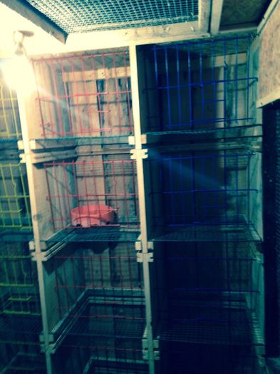 image-6637baf6650292d5cfc7bdd5d94156c58806067315afd031cce3688faae09e16-V