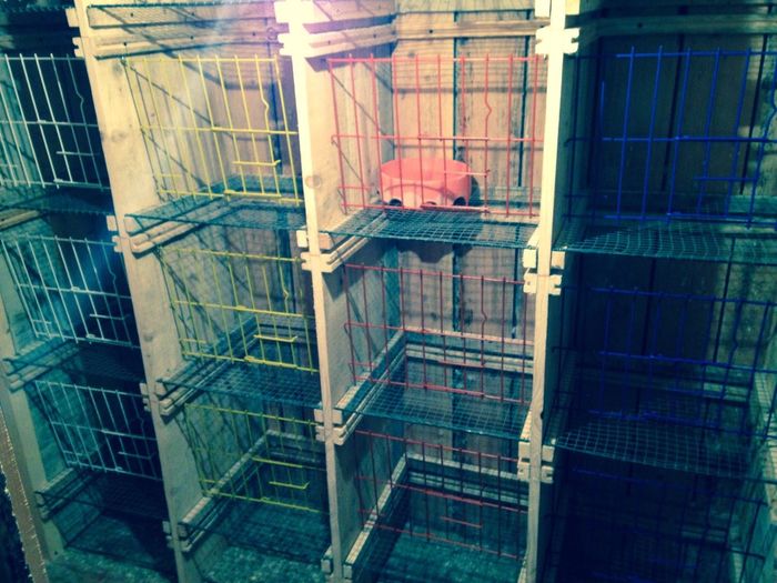 image-bf8098ac07a3a3f5cf85d414e9f41ef0e8fe435e4ace4a67f2787eaf8cdeba73-V