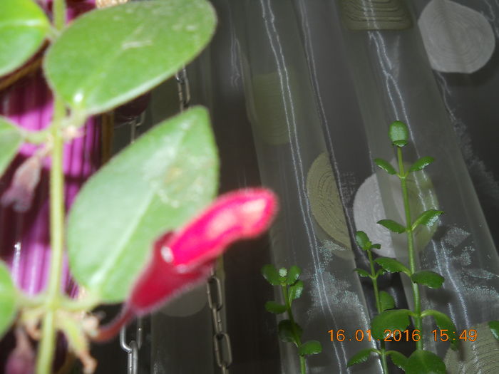 034