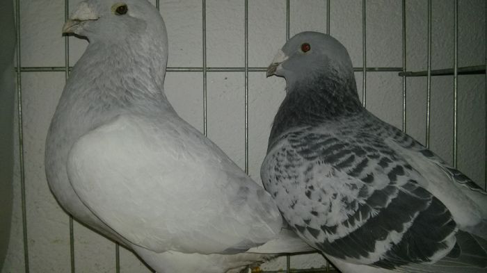 M -2012      F -2010